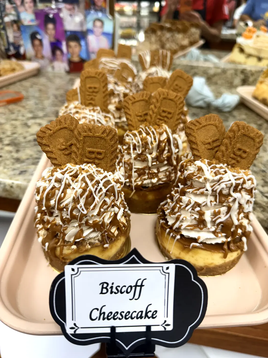 Biscoff Cheesecake