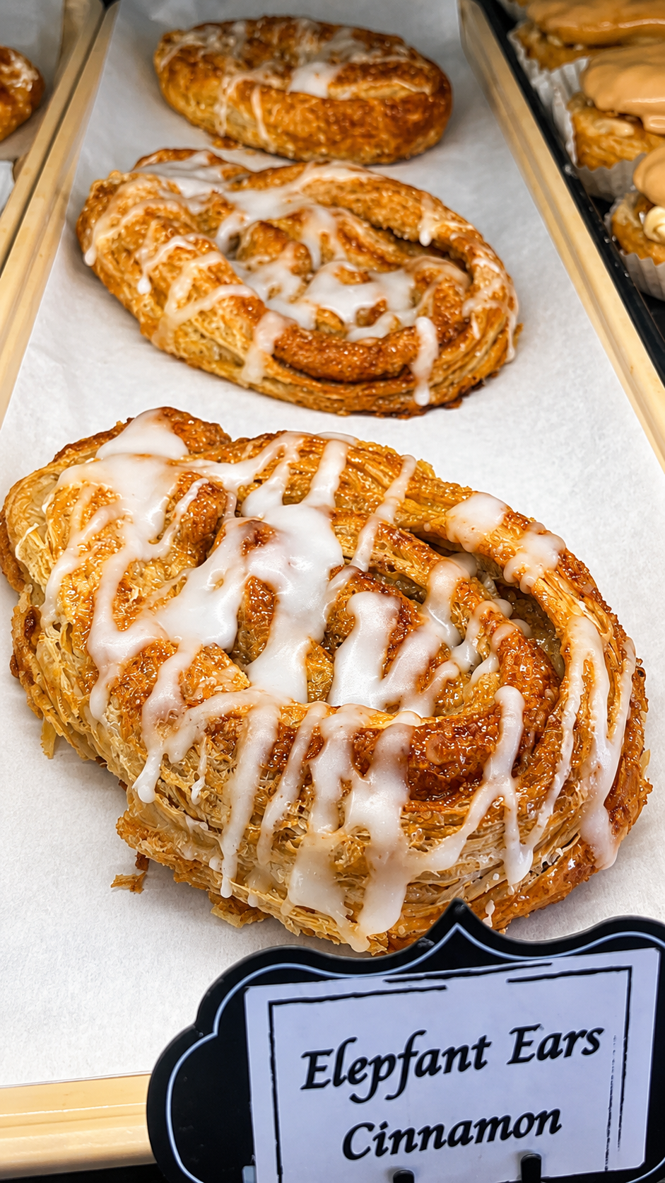Cinnamon Elephant Ear
